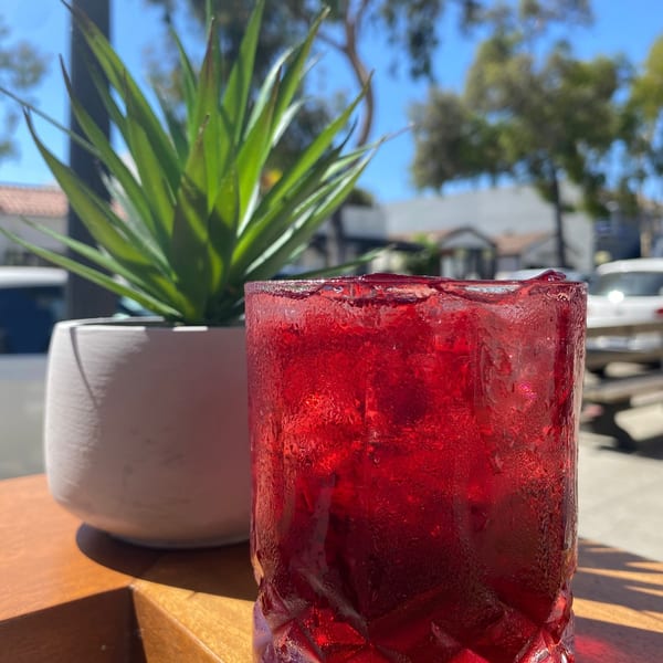 Red agua fresca beside a succulent