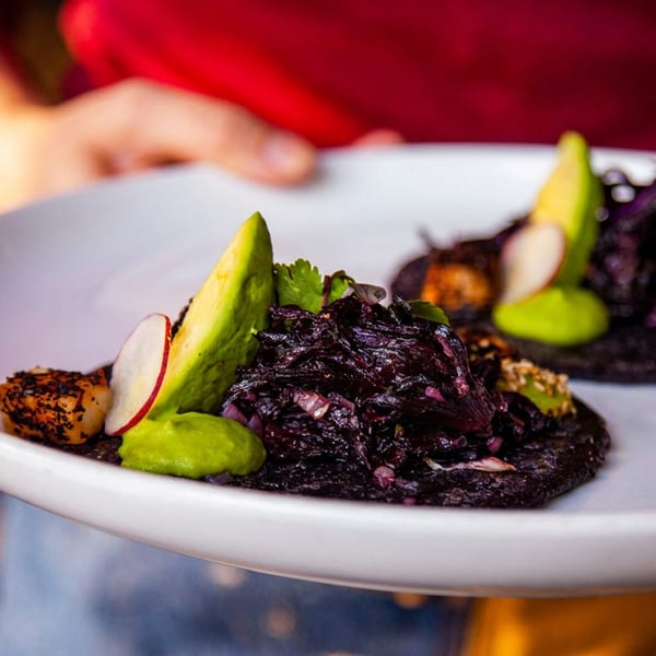 Two dark tacos with purple filling, avocado, radish, and green sauce on a white plate.